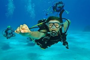 Scuba Diving PADI Open Water Course, & transfer - Sharm El Sheikh