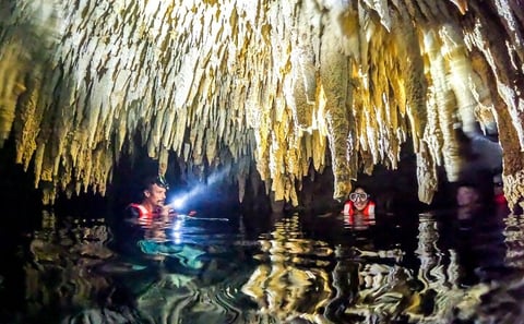 Private Half-Day Snorkeling and Cenote Tour in Akumal