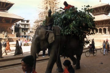 1 Day Kathmandu Hinduism Pilgrimage Sites Tour