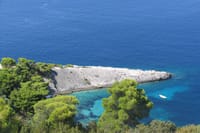 Zoraće
