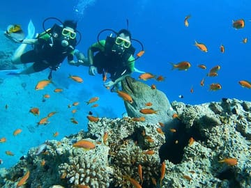 A week in Marsa Alam Egypt