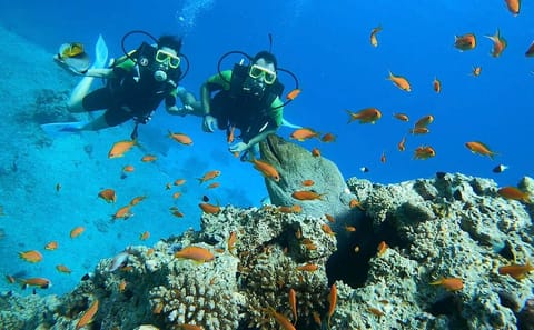 Adventure and Culture Tour in Sharm El Sheikh, Egypt