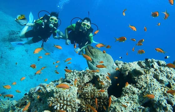Adventure and Culture Tour in Sharm El Sheikh, Egypt