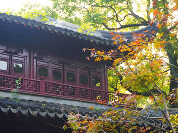 Chengdu Mahjong Experience Multilingual Guide