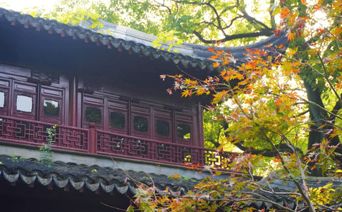 Shanghai Day Tour: Oriental Pearl Tower, The Bund & Gardens