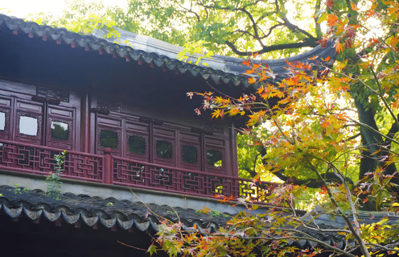 From Shanghai: The Oriental Pearl Tower, The Bund, City God Temple & Yuyuan Garden Day Tour