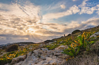 Mistra Valley & Selmun Nature Walking Tour (Private Tour) 7