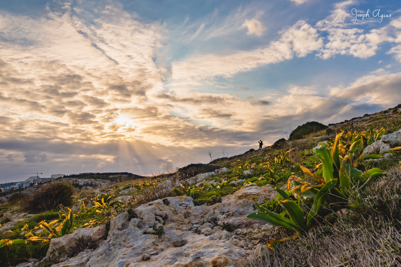 Mistra Valley & Selmun Nature Walking Tour (Private Tour) 7