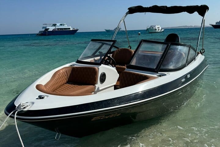 Private Speedboat Dolphin Watching & Snorkeling in Hurghada