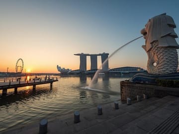 Singapore: 4 Hours Private Car or Minibus Rental with Driver