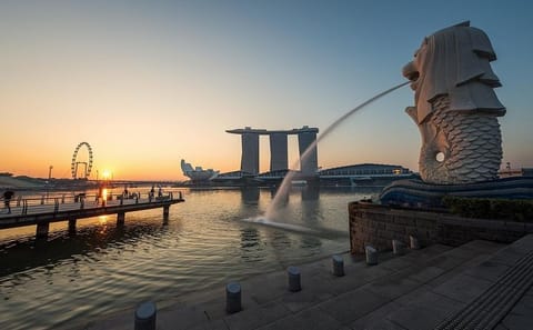 Private 6-Hour Singapore Tour by Car or Minibus