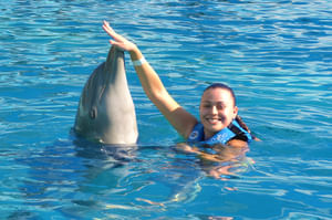 Dolphin Swim Adventure