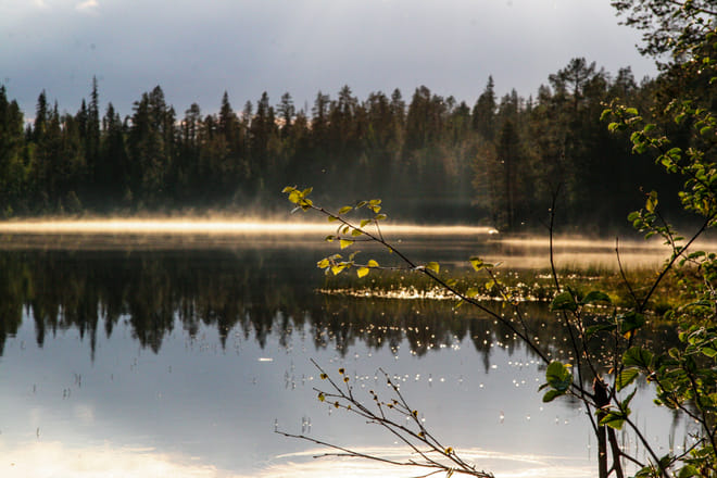Fishing Trip by Boat - Rovaniemi photo 2