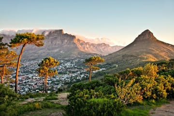 Private Culinary and Cultural Tour in Cape Town