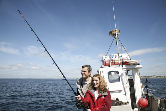 Marine wildlife cruise to Inishturk Island. Galway. Private guided.  4