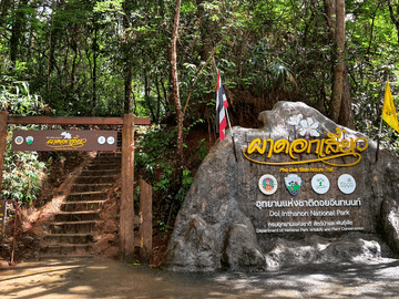 Chiang Mai to Doi Inthanon Guided Nature Trail and Elephant Tour