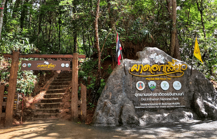 Chiang Mai to Doi Inthanon Guided Nature Trail and Elephant Tour