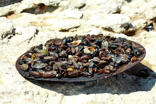 Boat Trip along Cape Kaliakra with a Mussel Plantation Lunch