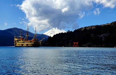 Tokyo to Hakone Customizable English Guided Private Tour