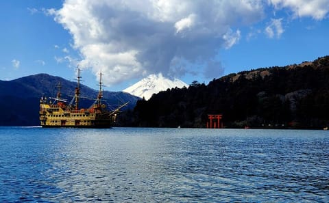 Tokyo to Hakone Customizable English Guided Private Tour