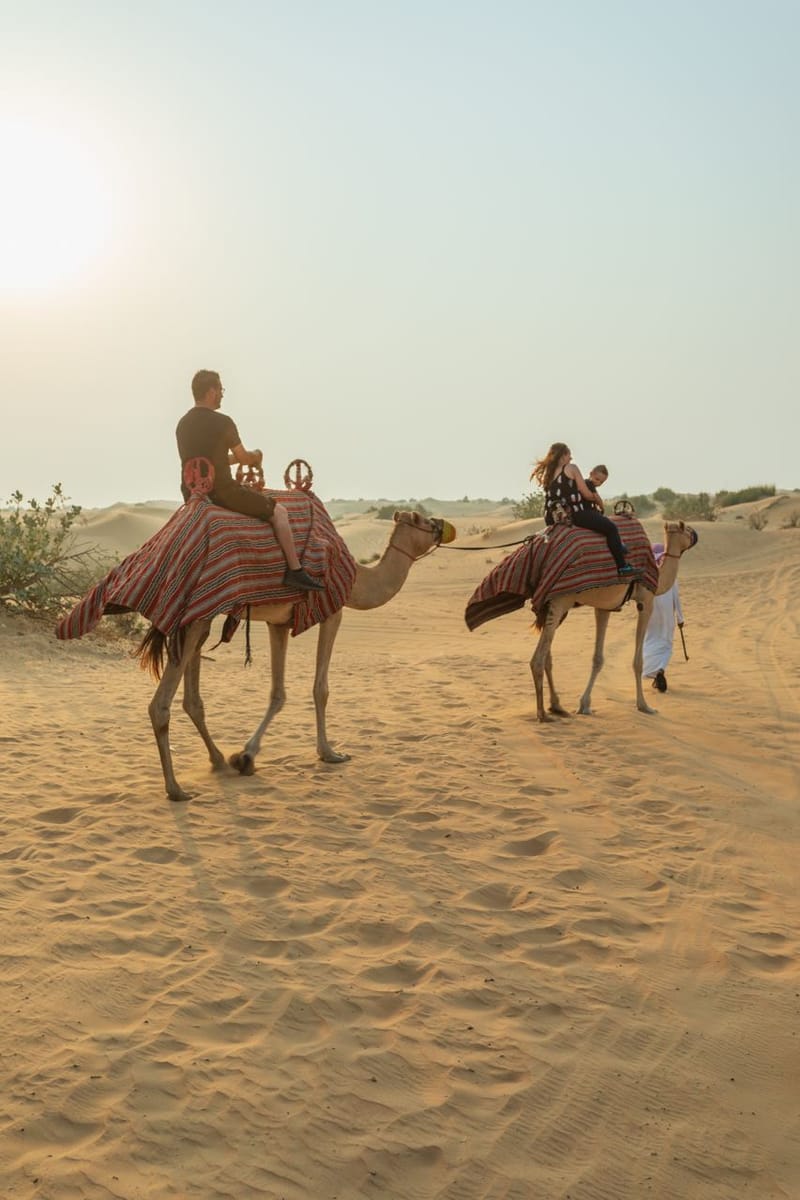 Big Red Desert Buggy Tour 2 Hours with Camel Ride & Sandboarding