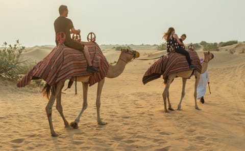 Desert Buggy Adventure with Camel Ride and Sandboarding in Sharjah