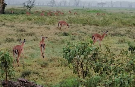 Hell’s Gate National Park Private Bike Tour from Nairobi