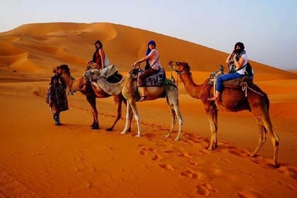 2 Day Luxury Desert Tour from Fes to Fes or Marrakech