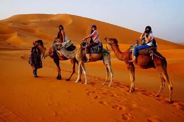 Luxury 2-Day Desert Adventure from Fes to Erg Chebbi