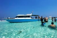 Speed boat trip Bintang Komodo Tours