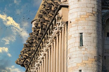 Private Guided Walking Tour of Dijon’s Cultural Heritage