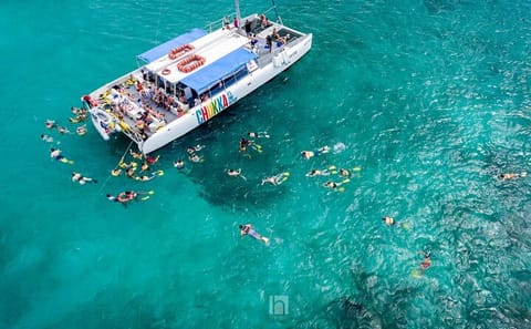 Catamaran Cruise and Snorkeling Adventure in Montego Bay
