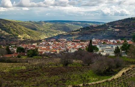 Troodos Mountains Food and Wine Tour from Paphos