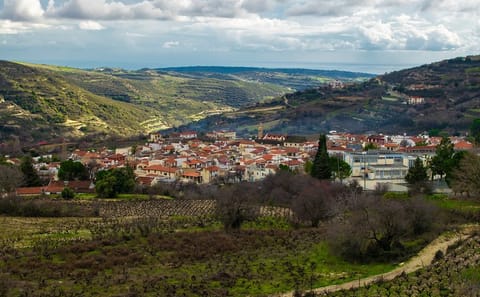 Troodos Mountains Food and Wine Tour from Paphos