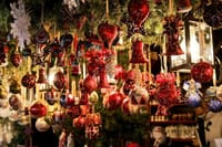 The Hague Christmas Market Tour 5