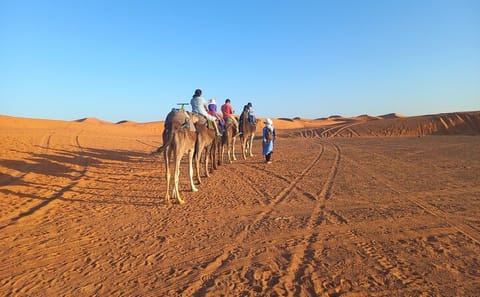 Private 8-Day Tour from Casablanca to Merzouga Dunes