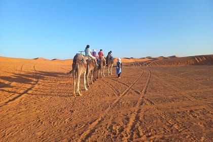 Private 8 Days Trip From Casablanca To Merzouga Dunes, Camel Ride