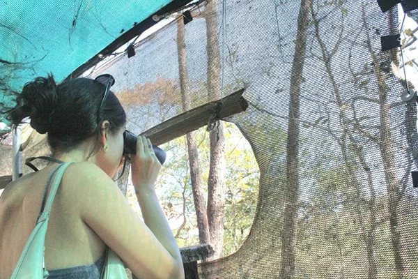 Private Macaw Birdwatching at Guacamayas Reserve with Biologist