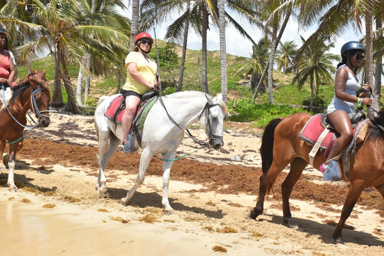 HORSE BACK RIDING FROM PUNTA CANA