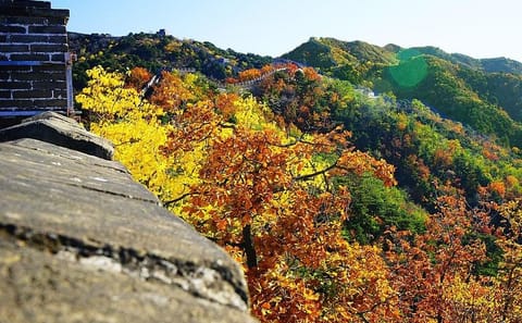 Beijing Mutianyu great wall Spanish & English guided Private tour  6 hours