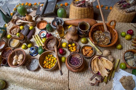 Authentic Mayan Temazcal Ceremony and Cultural Dinner Experience