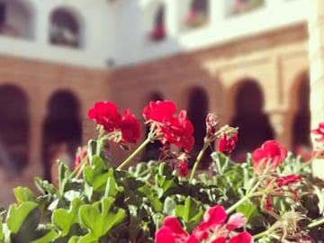 Columbian Places, behind the steps of Christopher Columbus in Huelva