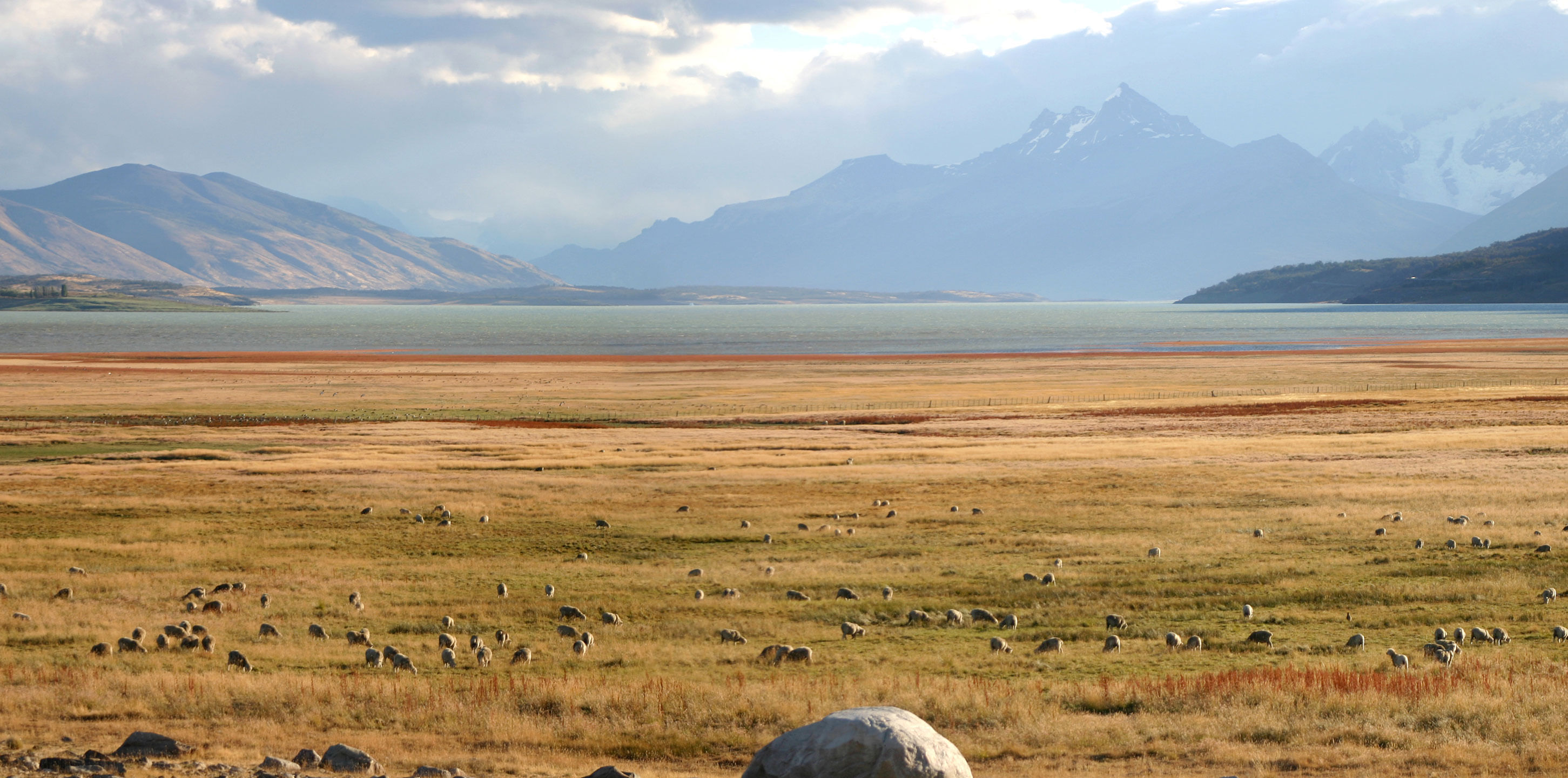 Steppa della Patagonia a sud di Cochrane - Carretera Austral