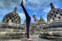 From Semarang port: Borobudur Temple excursion - Cruise Ship Traveler  2