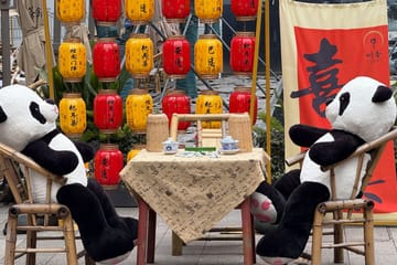 Chengdu Mahjong Experience with Multilingual Guide