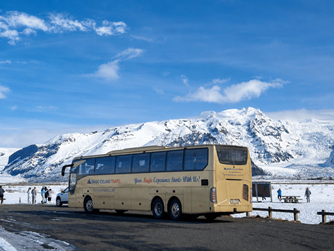 Golden Circle & Meet the Icelandic Horses | English Guide + Selected German Departures, photo 26