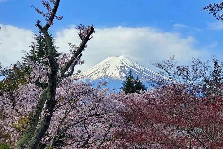 3 Days Private Tour Tokyo, Mt. Fuji and Hakone