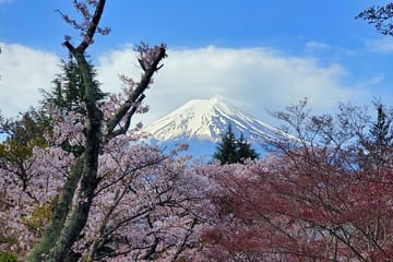 English Guided 3 Days Tokyo, Mt. Fuji and Hakone Private Tour