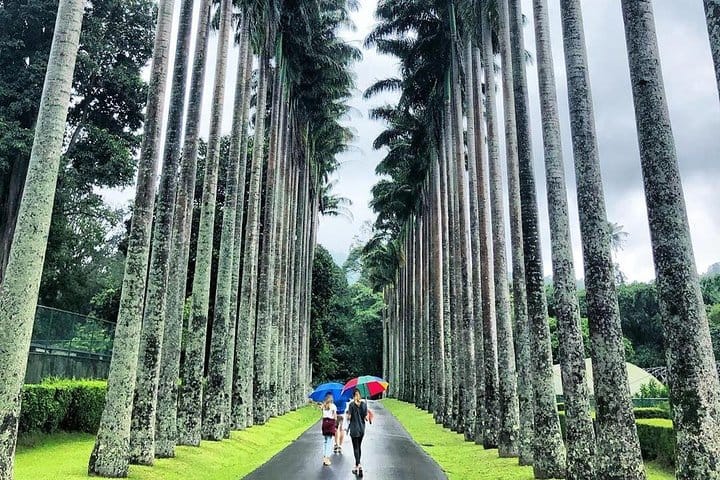 The Sacred Sri Lanka 4 Nights | 5 Days