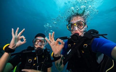 Scuba Diving Adventure in the Red Sea from Hurghada